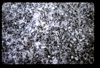 ap1602_03_18