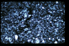 ap1602_03_19