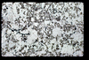 ap1602_04_01