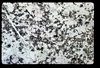 ap1602_04_03
