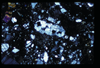ap1602_04_14