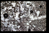 ap1602_04_17