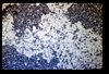 ap1602_05_05
