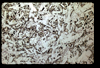 ap1602_05_19