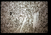 ap1602_06_01