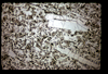 ap1602_06_03