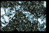 ap1602_06_12