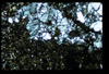 ap1602_06_17