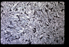 ap1602_07_05