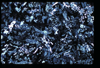 ap1602_07_06