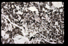 ap1602_09_11