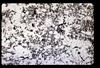 ap1602_09_13