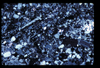 ap1602_09_14