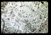 ap1602_13_10