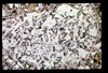 ap1602_13_13