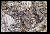 ap1602_14_01