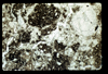 ap1602_14_09