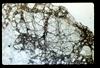 ap1602_14_13