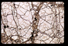 ap1602_14_15