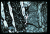 ap1602_14_16