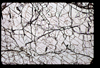 ap1603_01_03