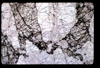 ap1603_01_05