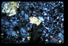 ap1603_01_14