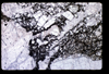 ap1603_01_17