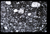 ap1603_01_19