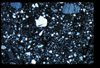 ap1603_01_20