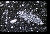 ap1603_02_01