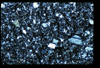 ap1603_02_10