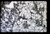 ap1603_02_13