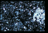 ap1603_02_16