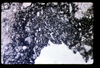 ap1603_02_17