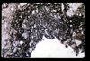 ap1603_03_01