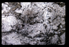ap1603_03_09
