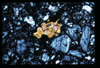 ap1603_03_16
