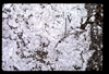 ap1603_03_18