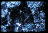 ap1603_03_19