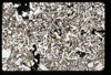 ap1603_04_03