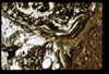 ap1603_08_14