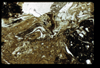 ap1603_08_16