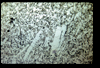 ap1603_10_01