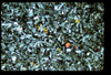 ap1603_10_04