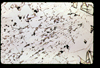 ap1603_10_05