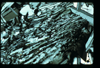 ap1603_10_06