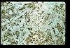 ap1603_10_07