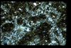 ap1603_10_16