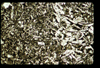 ap1603_11_11